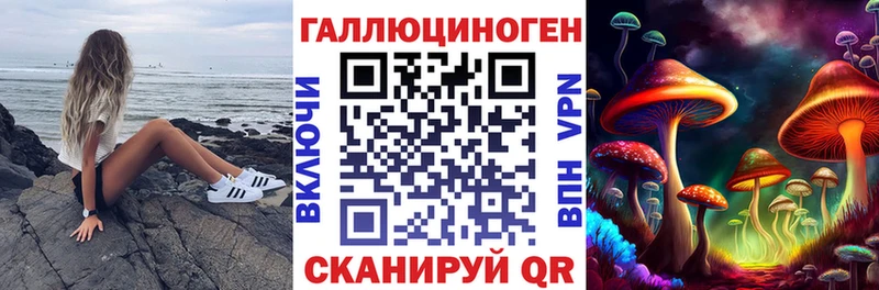 Купить где  Ивантеевка  Галлюциногенные грибы мицелий 